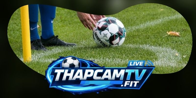 Phải làm gì khi Thapcamtv bị chặn truy cập